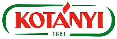 KOTÁNYI GmbH logo