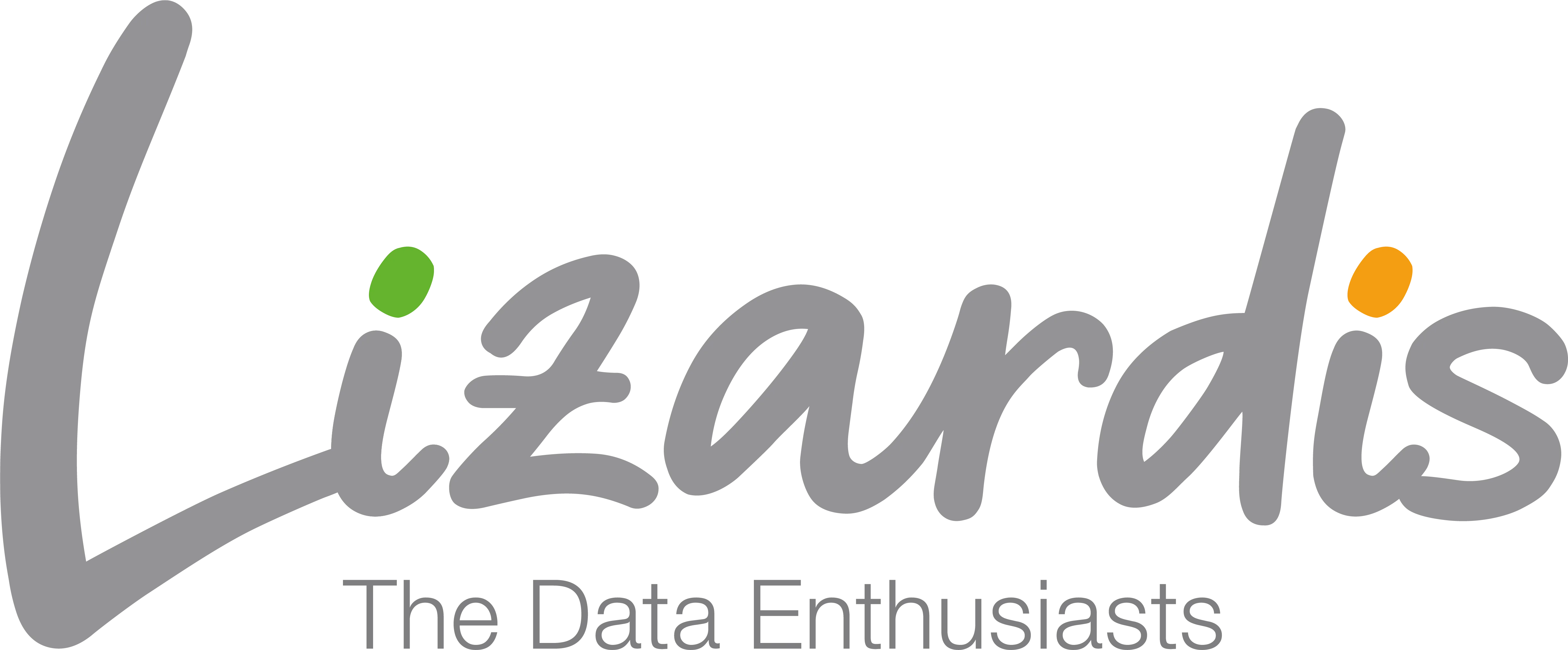 Lizardis logo