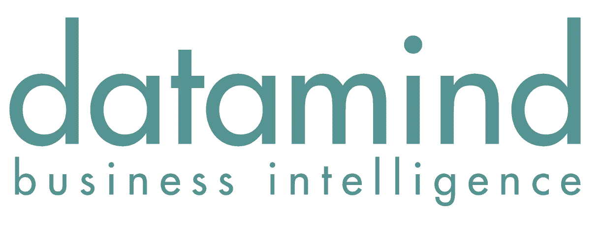 datamind Business Intelligence logo