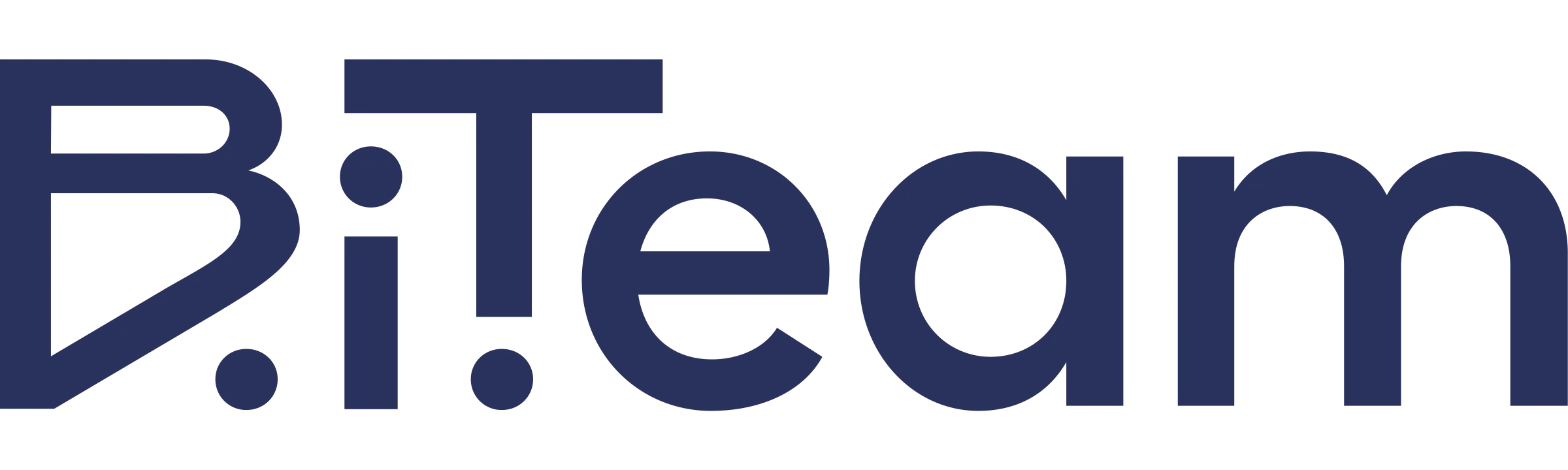 B.i.Team logo